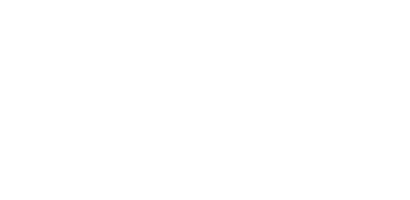 _img logo